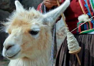 Magical Mystery Culinary Adventure in Lima and Machu Picchu