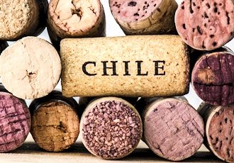Discovering Chile&#x27;s Culinary Heritage and Cultural Traditions